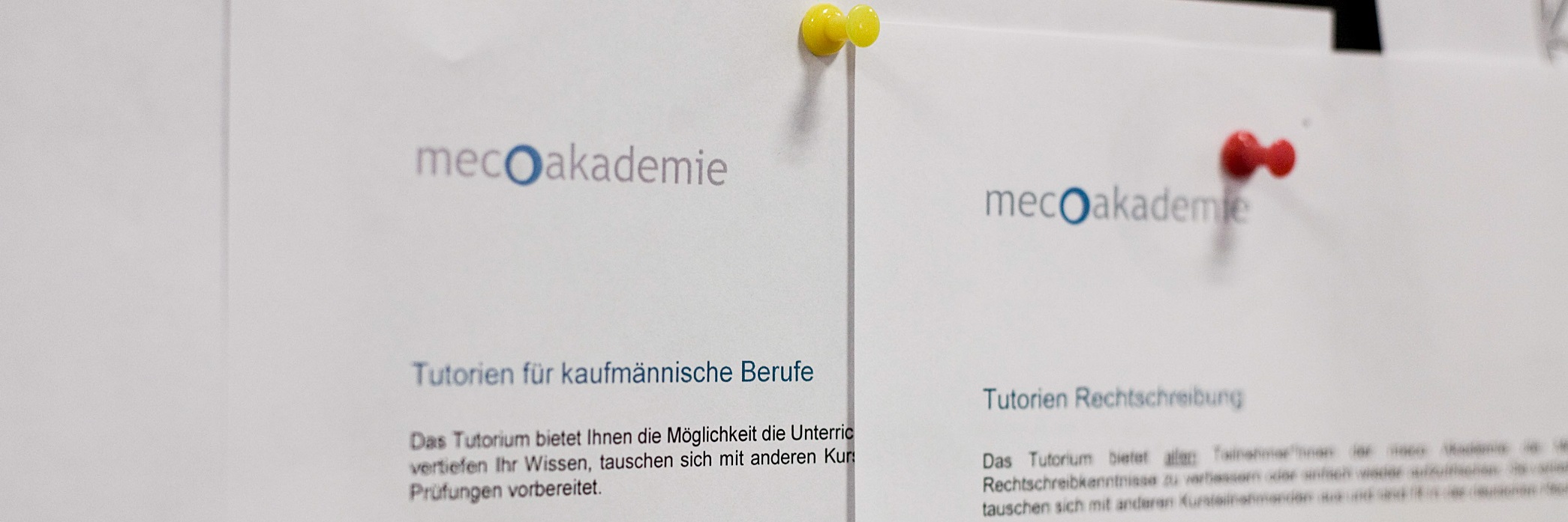 meco_akademie_tutorien